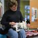 Humane Society of Huron Valley marketing director Deb Kern pets "The Al Pacino of Cats" in one of the kitty rooms. Mr. Pacino was shaved down after he came to the shelter with matted fur. Melanie Maxwell I AnnArbor.com